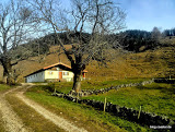 hdr IMG_20141222_125058.jpg