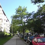 DSC00001.JPG