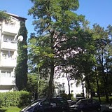 DSC00007.JPG