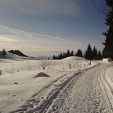 DSC00070.JPG