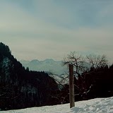 Y4110094.JPG