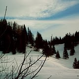 Y4110101.JPG