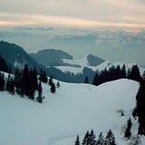 Y4110104.JPG